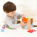 Shape Discovery Plug-in Box | Beech Wooden Shape Sorter Toy with 6 Puzzles | Montessori Learning for Toddlers 18+ Months by TinyTreasures Baby Boutique