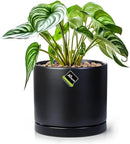 Aveyas 8 inch Ceramic Plant Pot with Drainage Hole and Saucer - Suitable for Indoor and Outdoor Use, Modern Planters for House Garden Flower Tree Snake Monstera Plants (8", Matte Black)