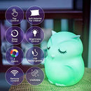Lumipets Remote Control Silicone Night Light for Kids - Owl Design with 9 Soft Colors & Sleep Timer - Rechargeable, Battery-Operated Lamp for Bedroom | Baby Nursery, Toddler, Girls, Boys by TinyTreasures Baby Boutique