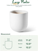 LE TAUCI 12 Inch Pots for Plants, Ceramic Large Planters for Indoor Plants, Indoor Plant Pots for Home Garden Patio Office, Planter Pots with Drainage Hole and Rubber Plug, White by GreenHaven Gardens