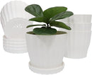 Flower Pots Outdoor Clearance 6 inch Set of 5 Succulent Planters for Indoor Plants Garden Home Holiday, Plastic Nursery Pots for Plants with Drainage Holes and Saucer, Modern Plant Pot White by GreenHaven Gardens