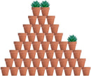 vensovo 48 Pcs 2" Tiny Terracotta & Terra Cotta Pots with Drainage - Small Mini Clay Ceramic Pottery Planter Ideal for Indoor/Outdoor Plants, Crafts, Wedding Favors by GreenHaven Gardens