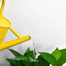Metal Watering Can for Outdoor and Indoor Plants, Watering Can Decor, 1 Gallon (Yellow) by GreenHaven Gardens