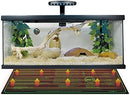 iPower 48" x 20" Waterproof Durable Seedling Heat Mat Warm Hydroponic Plant for Indoor Gardening Germination Starting, 2 Pack by GreenHaven Gardens
