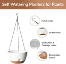 12 Inch Hanging Baskets for Plants Outdoor, Hanging Planters for Indoor Outdoor Plants, Hanging Planter with Self Watering, Hanging Flower Pots (White) by GreenHaven Gardens