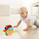 8-in-1 Sensory Balls for Infant Toddlers,Rainbow Fabric Baby Toy for Sensory Development,Montessori Toys for Babies 6-12 Months,8 Different Sensory Tactile Textures with Crinkle Rattle Squeakers by TinyTreasures Baby Boutique