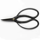 Wazakura Bonsai Scissors MADE IN JAPAN 7inch(180mm), Japanese Bonsai Garden Tools, Hasami Pruning Shears by GreenHaven Gardens