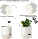 Nihow Self Watering Plant Pot: 8 Inch Ceramic Planter with Drainage Hole & Water Storage Plus for Indoor & Outdoor Plants - Cylinder Round Flower Pot for Succulent/Herbs/Violets - Cream White & Brown by CozyNest Decor