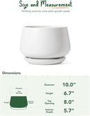 LE TAUCI Ceramic Planter, 10 Inch Plant Pot with Drainage Hole & Saucer – Durable Indoor Planter for Modern Home Decor, White by GreenHaven Gardens
