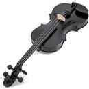 SKY Full Size VN202 Wood Black Violin with Brazilwood Bow and Lightweight Case by TinyTreasures Baby Boutique