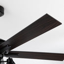 52" Kashmir Traditional Downrod Mount Reversible Ceiling Fan with Lighting and Remote Control
