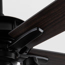 52" Kashmir Traditional Downrod Mount Reversible Ceiling Fan with Lighting and Remote Control