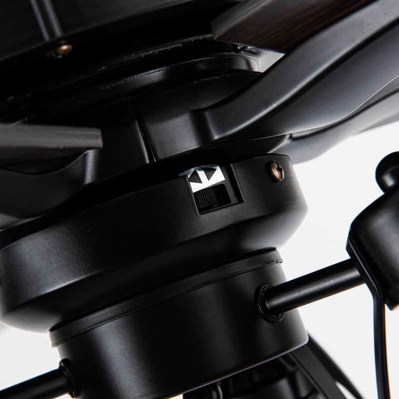 52" Kashmir Traditional Downrod Mount Reversible Ceiling Fan with Lighting and Remote Control