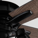 52" Kashmir Traditional Downrod Mount Reversible Ceiling Fan with Lighting and Remote Control