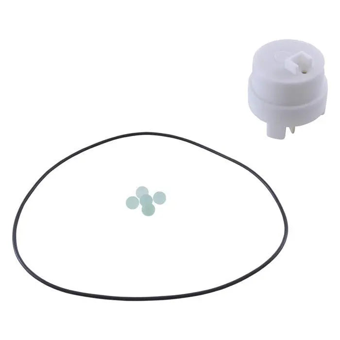 A&A Manufacturing Gould Valve Piston Repair Kit (521156)