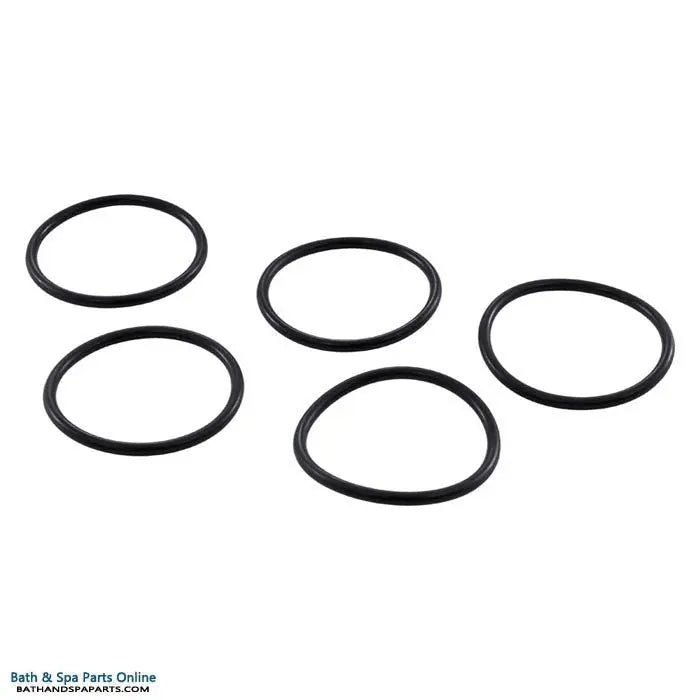 A&A Manufacturing O-Ring Small Caretaker Valve (521261)