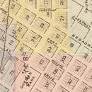 Vintage Map of Saint Peter, Minnesota 1874