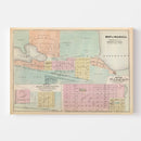 Vintage Map of Janesville, Minnesota 1874