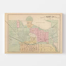 Vintage Map of Albert Lea, Minnesota 1874