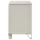 Gwendolyn - 2 Drawer Nightstand - White