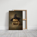 A Toad's Enchanted Reverie