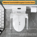 Upgraded Design Armrest, With Glossy Gw 007 1 Piece Toilet With Tornado Flush, Soft Close Seat, Dual Flush Map 1000G, Comfort Chair Seat - Gloss White by HouseOfZazla