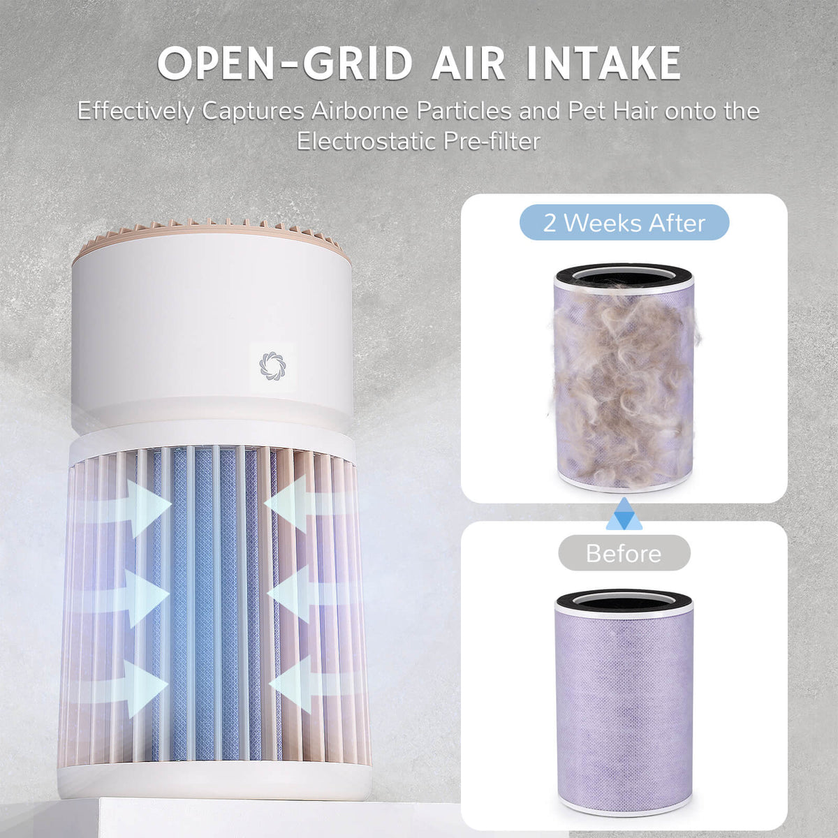 Glory Days AGH400 Pet Air Purifier, photo 10 of 14