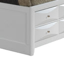 Modern Design Storage Bed With Bookcase Headboard