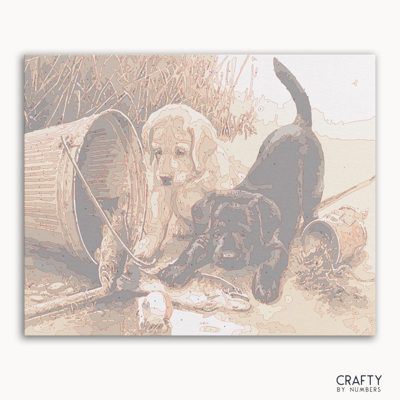 Puppies at Play