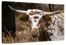 Longhorn Bull Wall Art