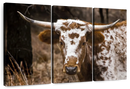 Longhorn Bull Wall Art