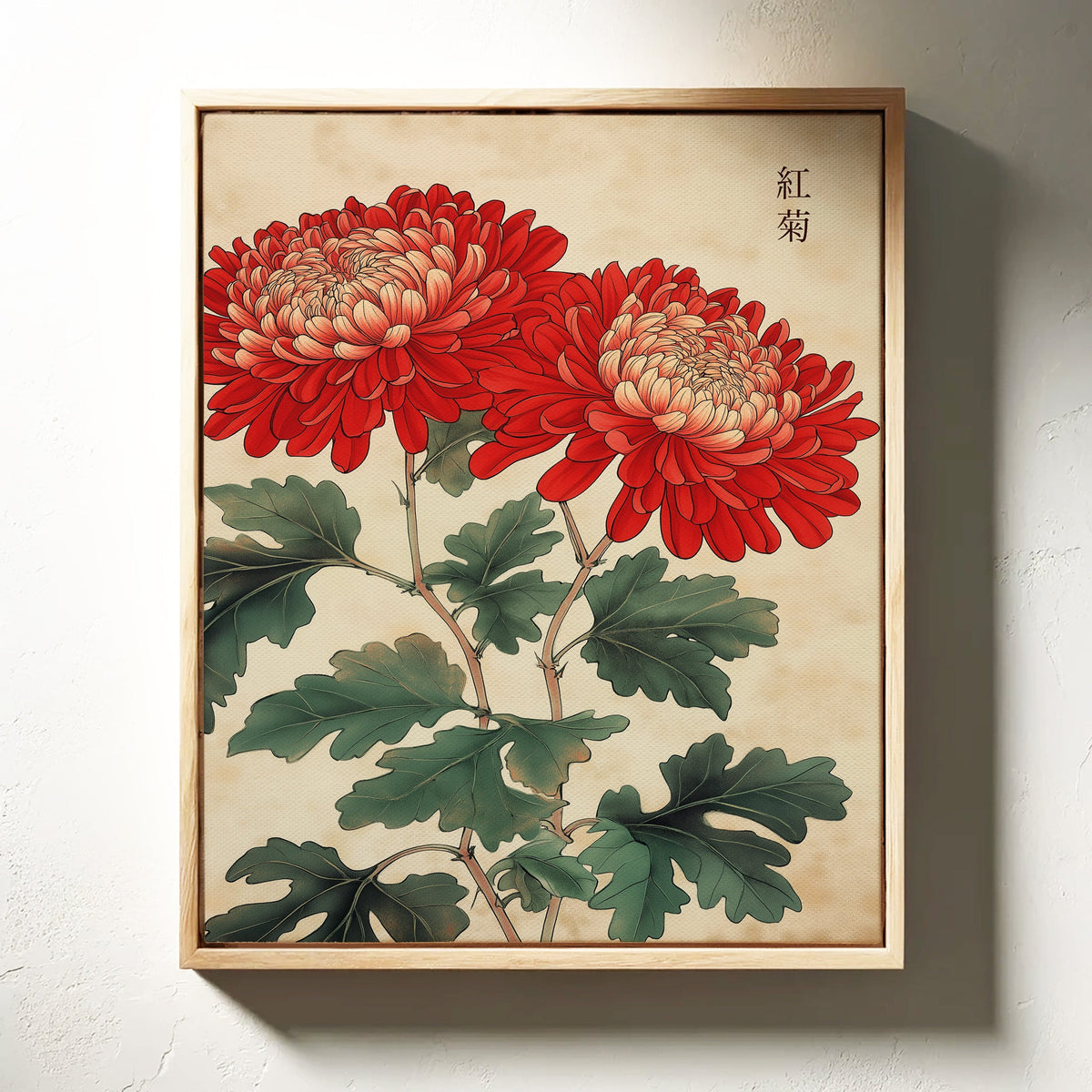 Red Chrysanthemum Elegance, photo 4 of 19