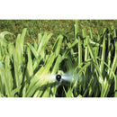 Shrub Head w/Ctr Strip Pattern Insert Nozzle | 54013