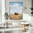 Bison Photography Wall Art Canvas Print – Framed Western