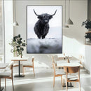 Frosty Black Highland Wall Art Canvas Print – Framed Moody