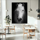 Large Wall Art White Horse Canvas Print