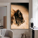 Bison Portrait Wall Art Canvas Print – Framed Western by MyGreatCanvas | Canvas Wall Art Prints | Photo Prints & Wall Decor
