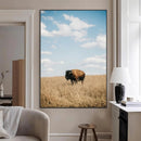 Bison Photography Wall Art Canvas Print – Framed Western