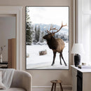 Elk Photography Wall Art Canvas Print – Framed Winter by MyGreatCanvas | Canvas Wall Art Prints | Photo Prints & Wall Decor