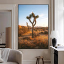 Joshua Tree Wall Art Canvas Print – Framed Golden Hour