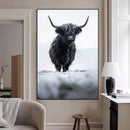 Frosty Black Highland Wall Art Canvas Print – Framed Moody