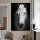 Large Wall Art White Horse Canvas Print