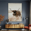 Texas Longhorn Wall Art Canvas Print – Brown Horned Bull