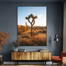 Joshua Tree Wall Art Canvas Print – Framed Golden Hour