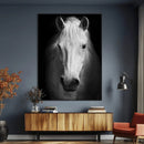 Large Wall Art White Horse Canvas Print