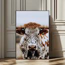 Texas Longhorn Wall Art Canvas Print – Spotted Horned Cattle