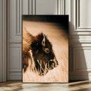Bison Portrait Wall Art Canvas Print – Framed Western by MyGreatCanvas | Canvas Wall Art Prints | Photo Prints & Wall Decor