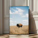 Bison Photography Wall Art Canvas Print – Framed Western