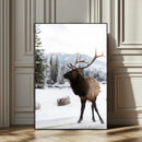 Elk Photography Wall Art Canvas Print – Framed Winter by MyGreatCanvas | Canvas Wall Art Prints | Photo Prints & Wall Decor