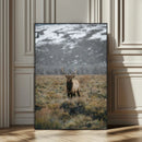 Wild Elk Wall Art Canvas Print – Framed Mountain Wilderness
